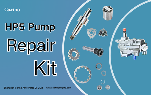 22100-0E010 Fuel Pump Repair Kit